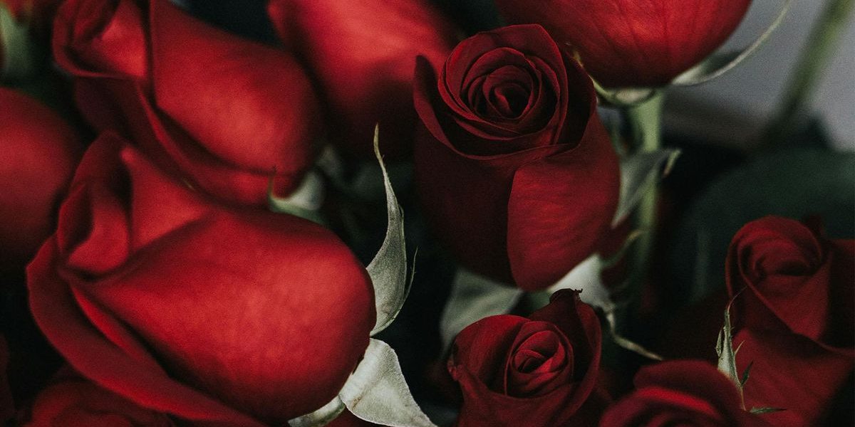 romance-DMID1-69yzu9ga6-1920x1080.jpg - JurnalUrban