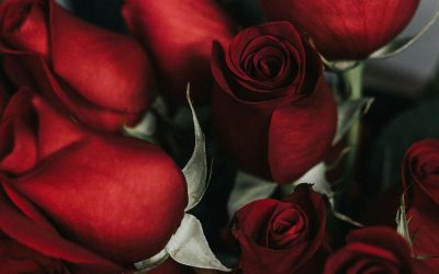 romance-DMID1-69yzu9ga6-1920x1080.jpg - JurnalUrban