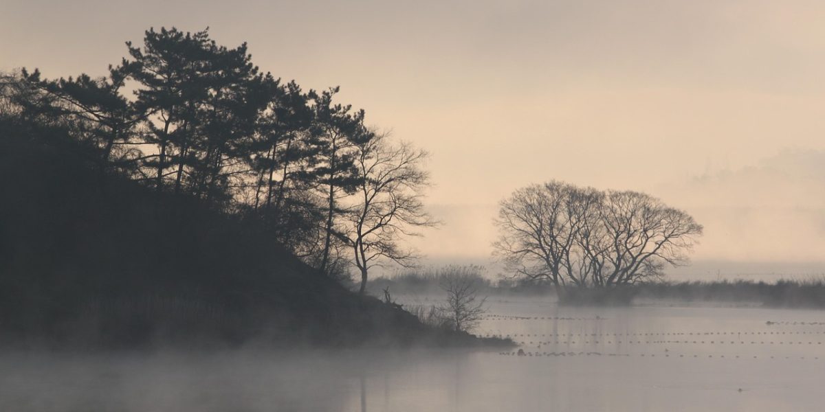 spinelee-bog-7426469_1280.jpg - JurnalUrban