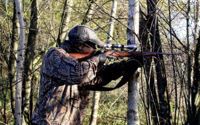 vanator-pusca-arma-e1683123824166.jpeg - JurnalUrban