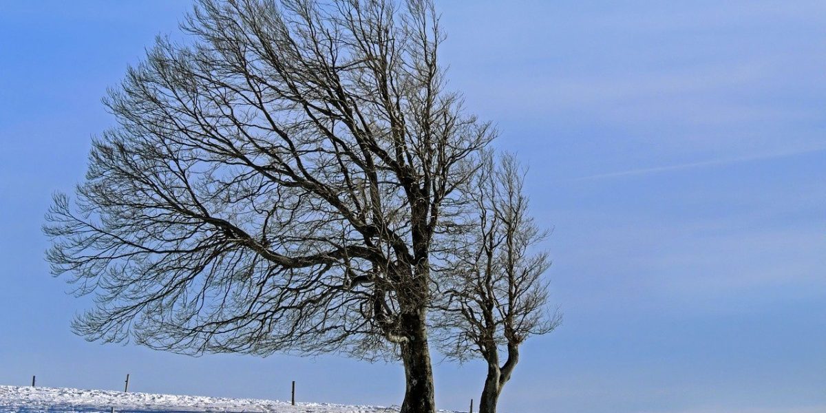 winter-landscape-g7a608bfff_1280.jpg - JurnalUrban