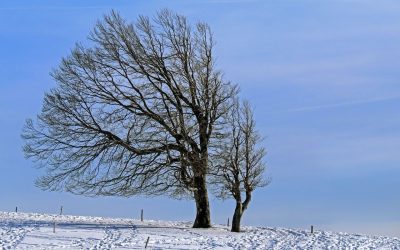 winter-landscape-g7a608bfff_1280.jpg - JurnalUrban