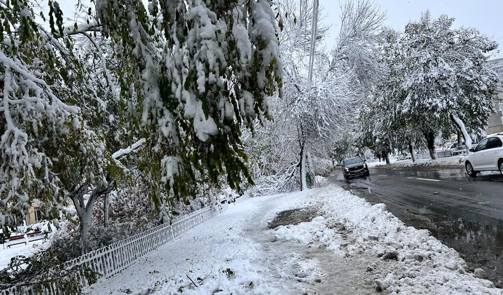 zapada-iarna-nameti-drumuri-inchise-viscol-cod-rosu-vreme-rea-noroi-deszapezire2.jpeg - JurnalUrban