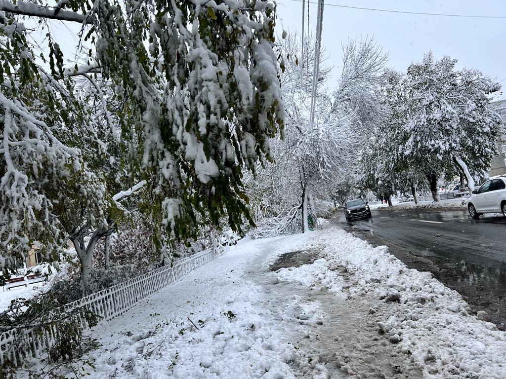 Trafic în condiții de iarnă pe drumurile din mai multe județe: ninsoare, ceață și zone cu restricții temporare Luni dimineața, drumurile din mai multe zone din țară sunt acoperite de zăpadă și ceată densă, condiții care complică traficul rutier și impun vigilență maximă șoferilor