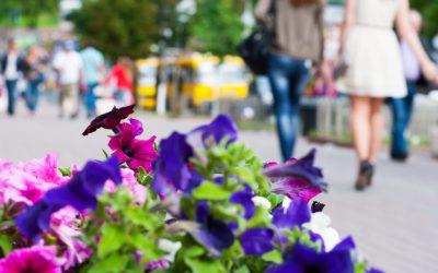 Meteo București: Ploi și temperaturi de până la 18 grade în ultima săptămână din martie