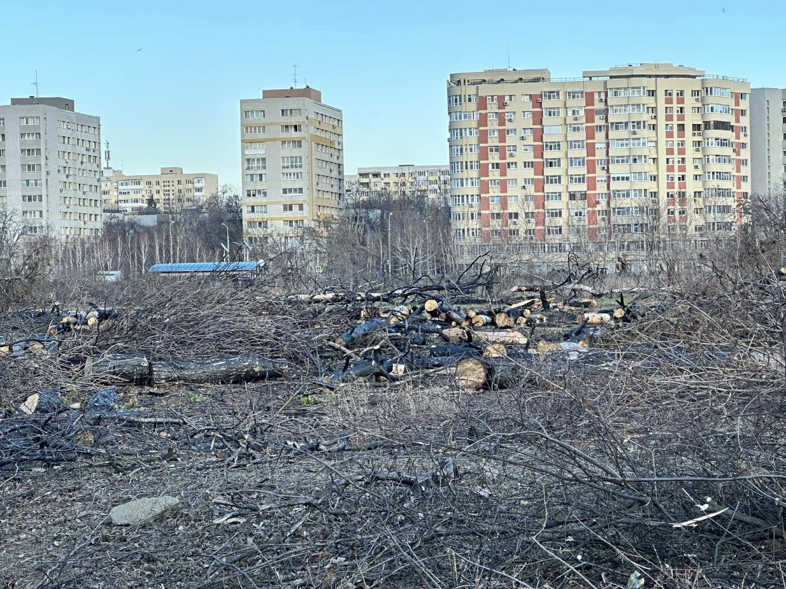 Ciucu răspunde AUR: Primarul Capitalei, deschis la discuții privind stimulentele pentru persoanele cu dizabilități Primarul Capitalei, Ciprian Ciucu, a anunțat vineri că va oferi un răspuns oficial grupului parlamentar AUR, care a condiționat participarea la ședințele Consiliului General al Municipiului București (CGMB) de acordarea stimulentelor financiare pentru persoanele cu dizabilități și de exproprierea zonei retrocedate din Parcul IOR