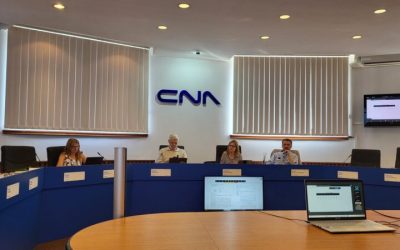 Aur cere desființarea cna și cncd, instituții ce sancționează extremismul