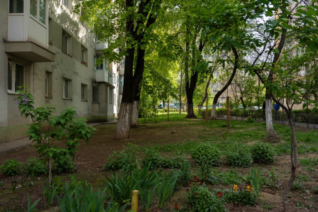 Refacere spații verzi Pantelimon: Studenți înscriși la concursul C40