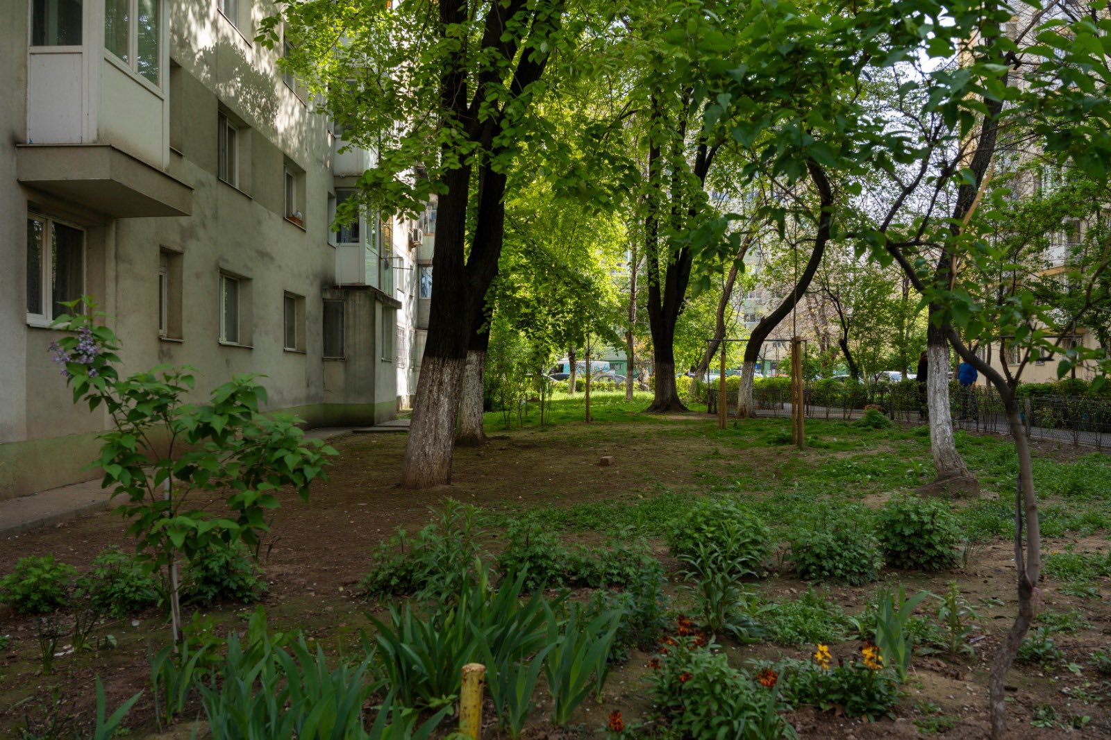 Refacere spații verzi Pantelimon: Studenți înscriși la concursul C40