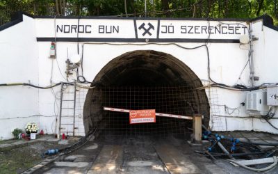 8048153-mediafax_foto-raul_stef-2-1024x683.jpg - JurnalUrban