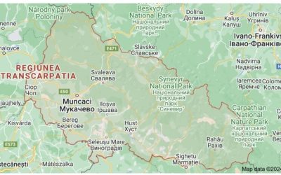 Ofițer maghiar, suspectat de spionaj în Transcarpatia, demascat de SBU