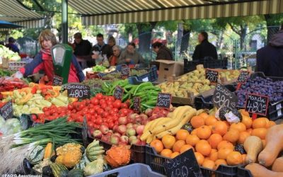 Coaliția: Prelungire plafon adaos alimente, acciza la carburanți, în analiză