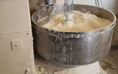 Control-ANPC.jpg - JurnalUrban