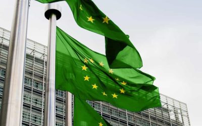 Green_EU_flags.jpeg - JurnalUrban