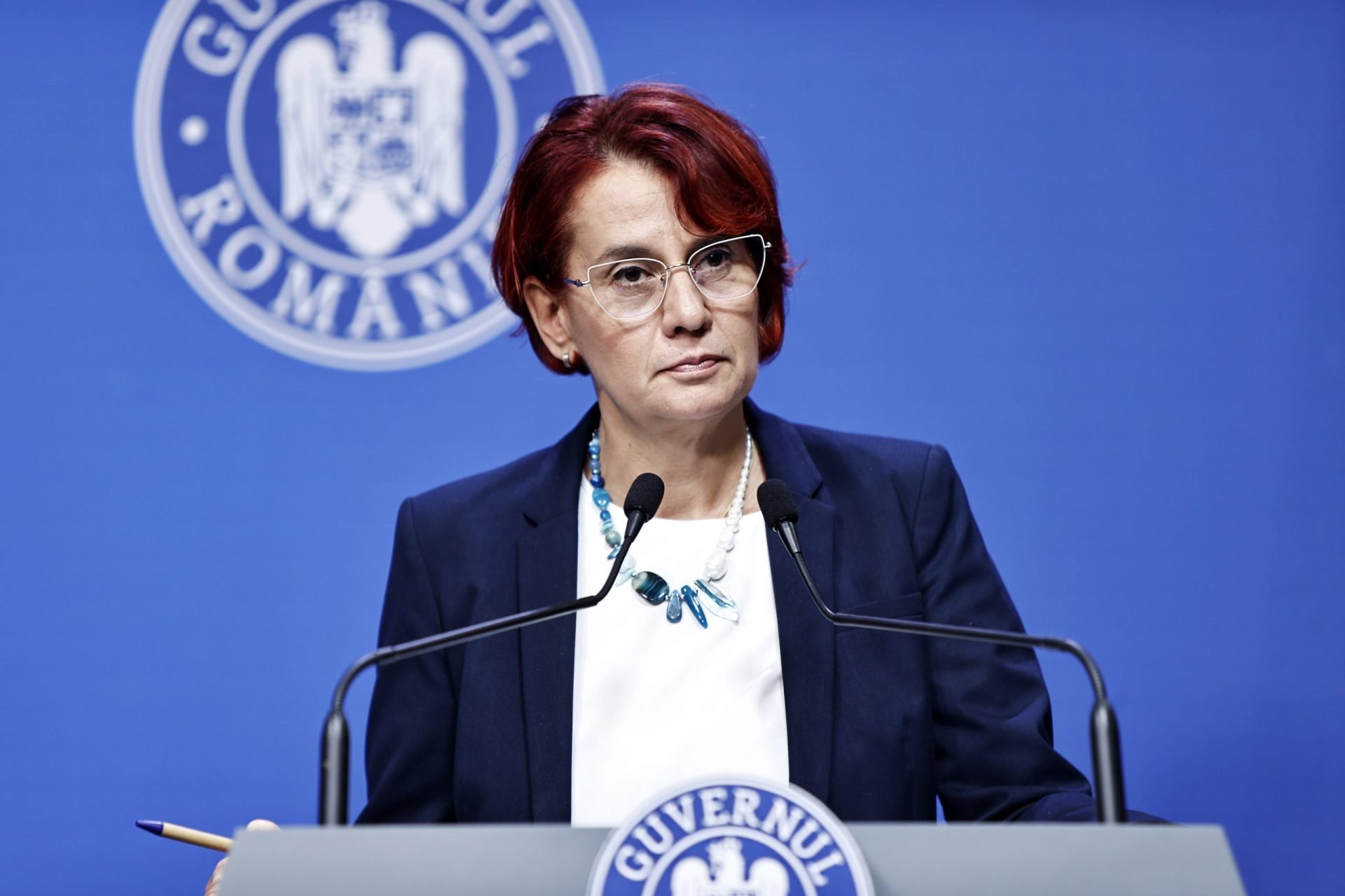 Guvernul a aprobat memorandumul pentru acordul UE-Mercosur