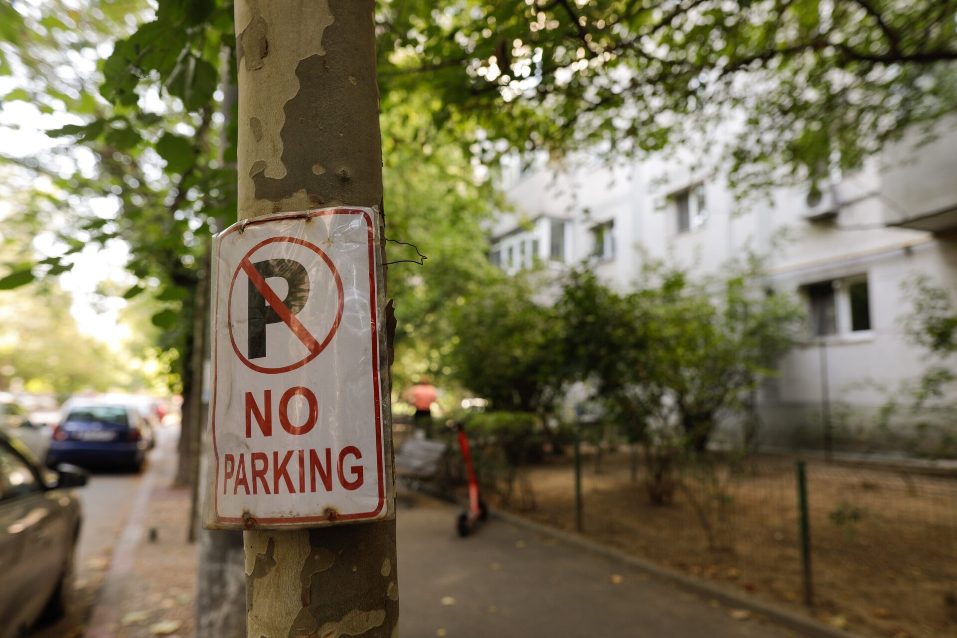 Poliția Locală Sector 1, acțiune amplă împotriva blocării locurilor de parcare Poliția Locală Sector 1 a confiscat 44 de dispozitive folosite ilegal pentru blocarea locurilor de parcare, în urma unei ample acțiuni de control