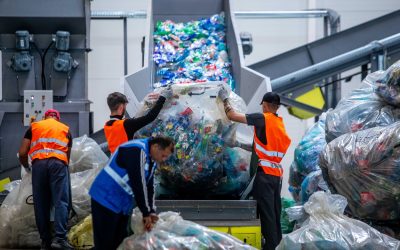 ID261005_INQUAM_Photos_Ovidiu_Micsik.jpg - JurnalUrban