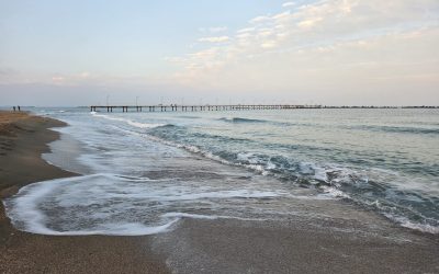 IMG-20251109-WA0019.jpg - JurnalUrban