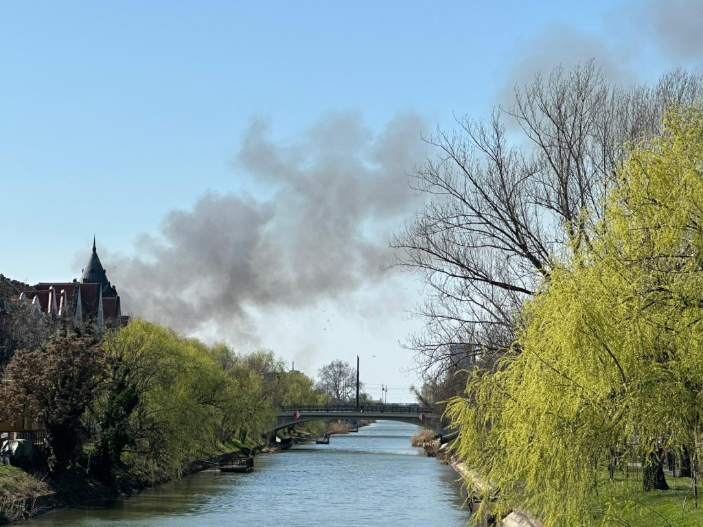 Incendiu de vegetație în zona Freidorf. Pompierii intervin lângă Liceul Auto