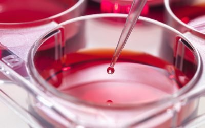 Jmhhc2g9ZjQ4OWE3ZTVlOWYwNmRlZjgyOWM1OTlmNGVkZWZjOTM.thumb_.jpg - JurnalUrban