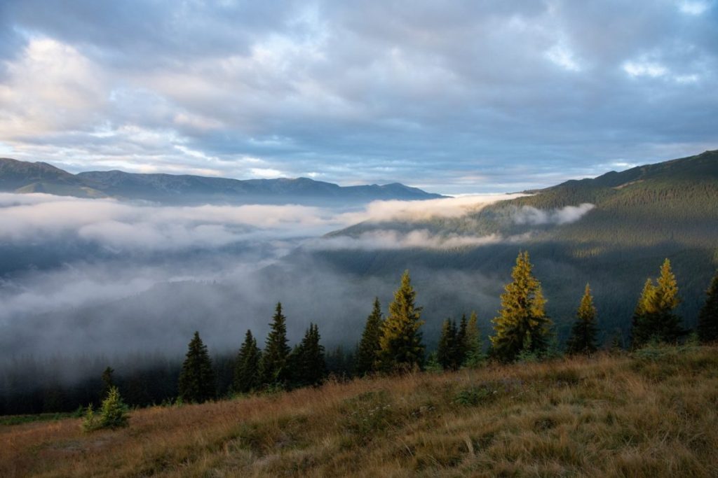 Schimbările climatice afectează ecosistemele alpine, inclusiv Carpații Ecosistemele din Europa resimt deja efectele încălzirii globale, iar schimbările cele mai rapide, de până la cinci ori mai accentuate, sunt observate în zonele alpine, inclusiv în Carpați