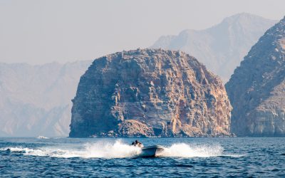 SUA lovește flota iraniană într-o demonstrație de forță în strâmtoarea Ormuz Statele Unite ale Americii au distrus marți un număr de șaisprezece nave iraniene, despre care se spune că ar fi fost utilizate pentru plantarea de mine, în apropierea strategic importantei strâmtori Ormuz