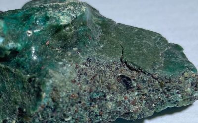 Testoasele-marine-isi-fac-cuiburi_Fernand-Avelar-Santos_Agencia-FAPESP_descopera.jpg - JurnalUrban