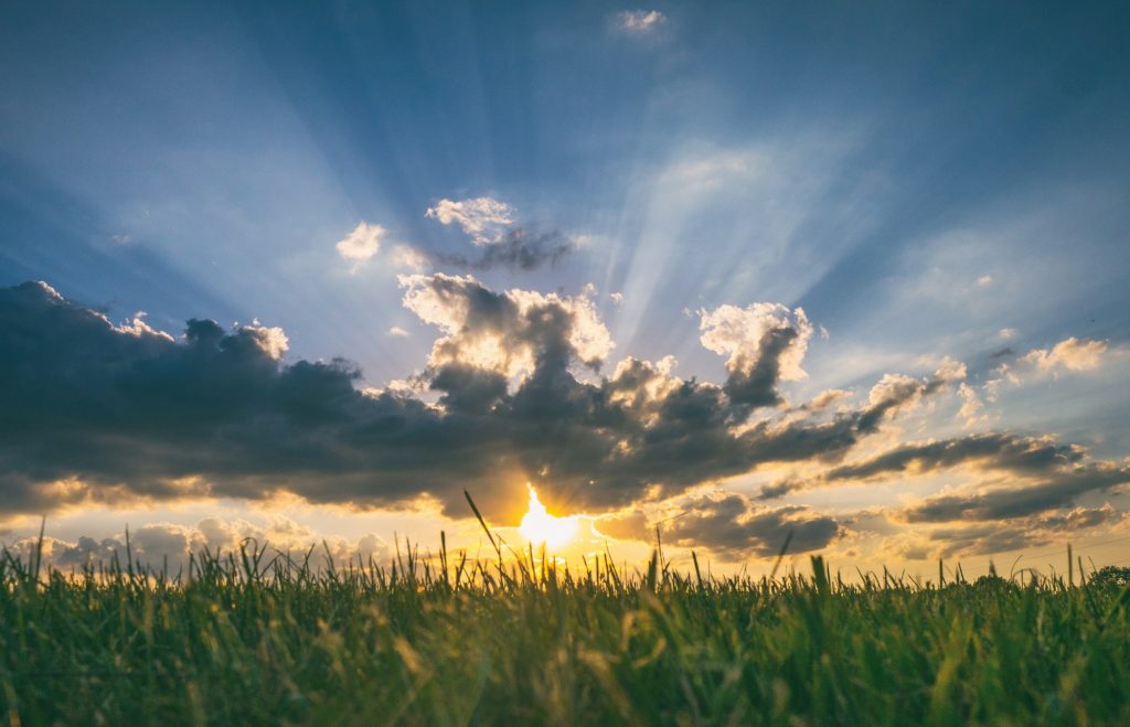 Weather & Traffic: Friday 27 March: You can leave your hat on (and everything else)