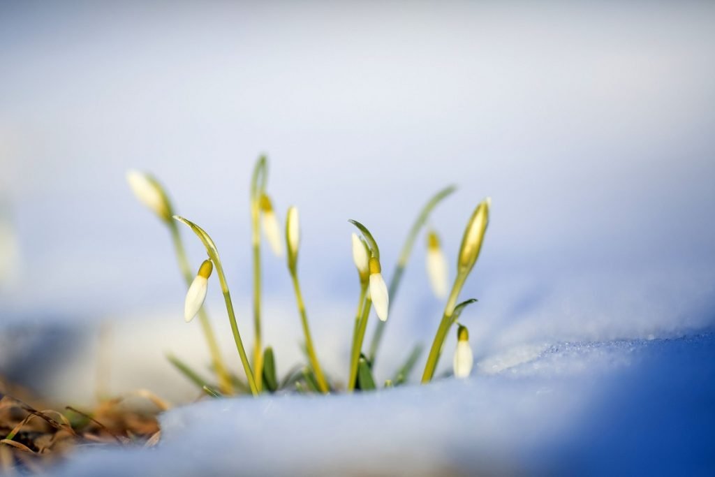 Martie 2026: Vremea neobișnuită, cu temperaturi variabile și inversiuni termice Martie 2026 se anunță a fi o lună cu fluctuații meteorologice semnificative, caracterizată prin temperaturi neobișnuite, inversiuni termice și variații ale precipitațiilor