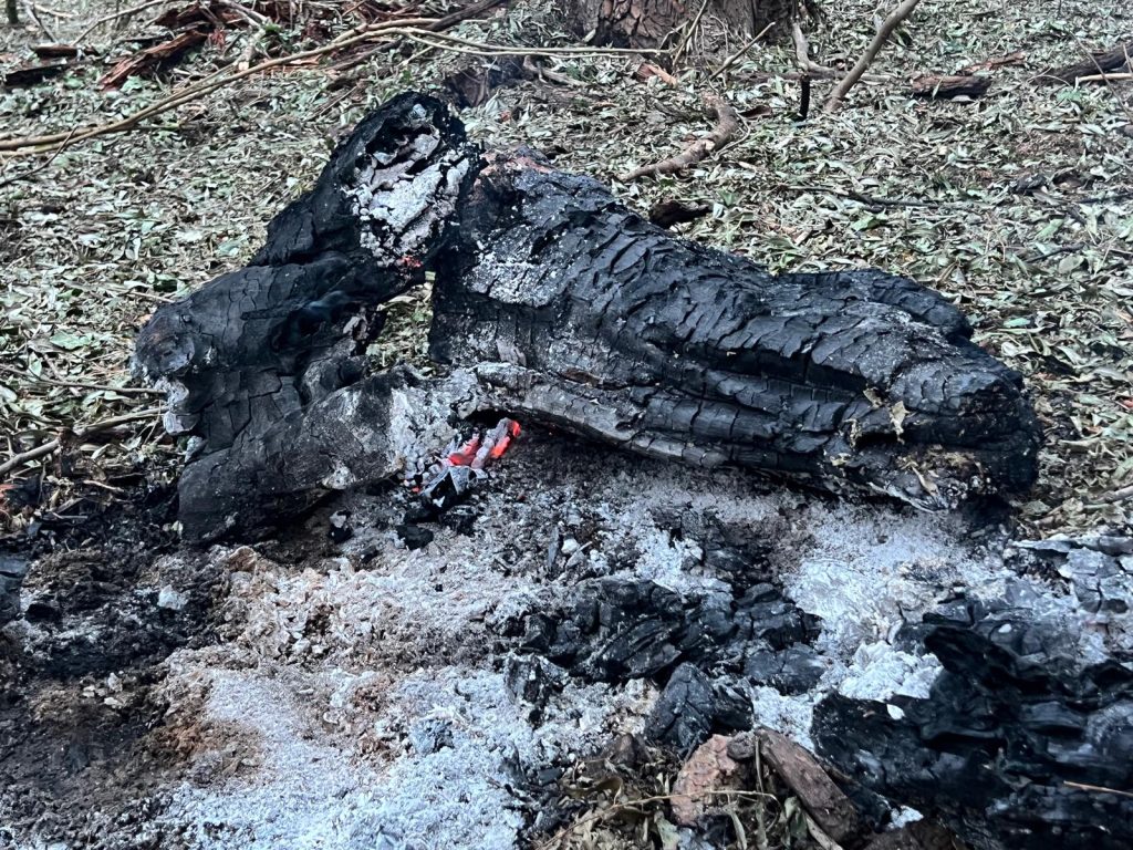 Avioanele ridicate la granița cu Ucraina au avut autorizație de a trage Ministrul Apărării, Radu Miruță, a confirmat sâmbătă că avioanele militare românești care au decolat vineri, după detectarea unor ținte aeriene în apropierea graniței cu Ucraina, au avut aprobare să utilizeze armamentul