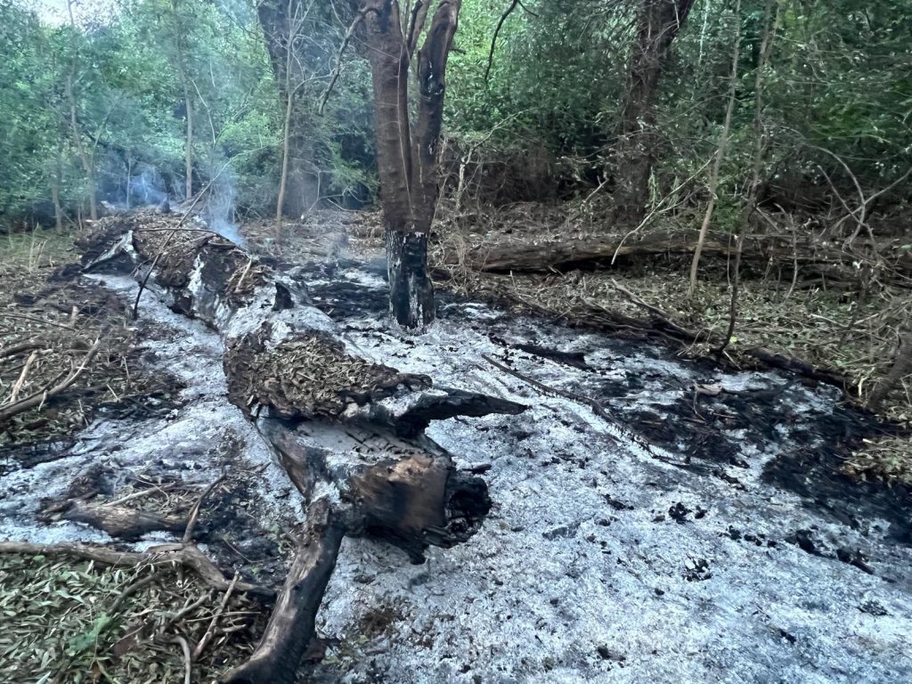 Alertă RO-Alert în Tulcea: Fragmente de dronă descoperite în Plauru O alertă RO-Alert a fost emisă în județul Tulcea, după ce bucăți dintr-o dronă au fost găsite în localitatea Plauru, conform unui comunicat emis marți dimineața de Ministerul Apărării Naționale (MApN)