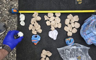 Arestări în bihor: 9 tineri, inclusiv elevi, vindeau droguri lângă școli