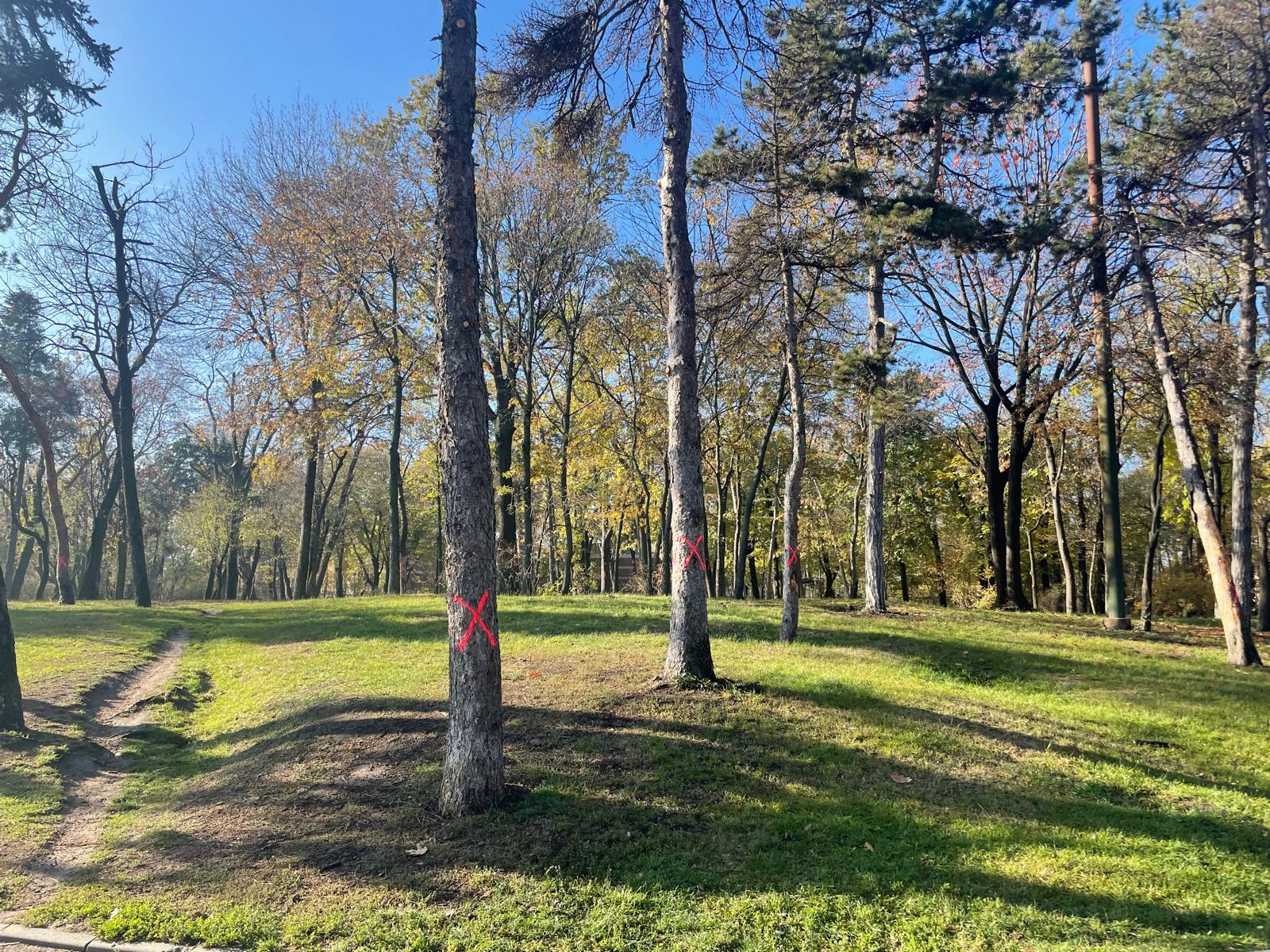 O firmă amendată pentru tăierea ilegală de copaci în Parcul Carol O companie care executa lucrări în Parcul Carol din București va fi sancționată de Primăria Capitalei pentru că a afectat spațiul verde și a efectuat lucrări fără autorizație