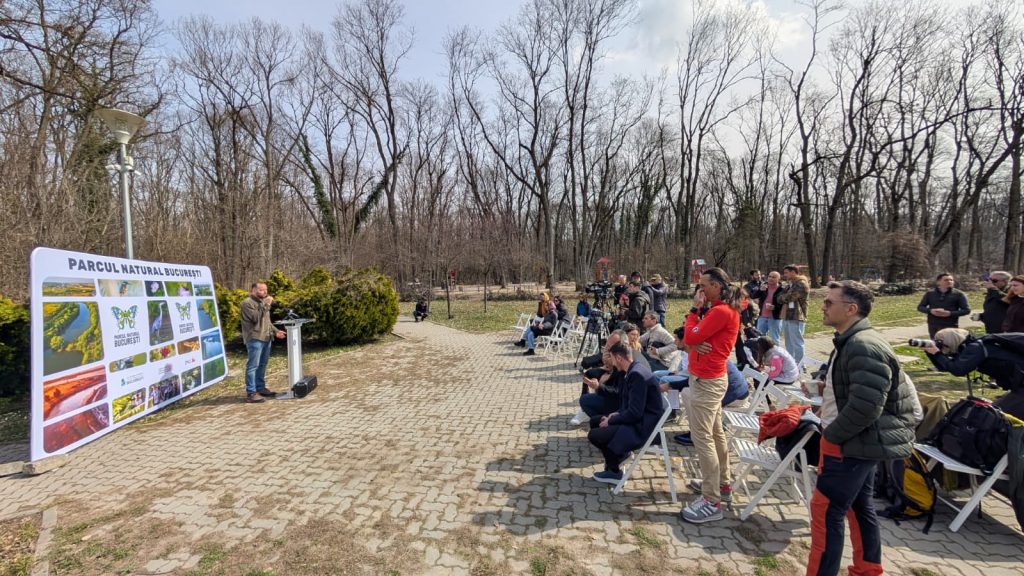 Pădurea Băneasa, pas important spre protejarea ca arie naturală Pădurea Băneasa, un important spațiu verde din nordul Capitalei, face un pas crucial spre a fi declarată arie naturală protejată de interes național