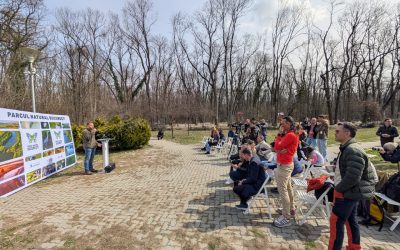 Pădurea Băneasa, posibil arie protejată: Studiu la academie, 49 de specii protejate