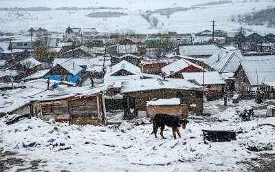 The New York Times: Afacerile Trump și un proiect imobiliar lângă pata rât, cluj