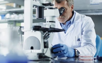 aD02MzAmemM9MSZoYXNoPTUyOTcxM2E4YjRiZmFiZTBiNDE1YThkM2I2ZTU0MDM4.thumb_.jpg - JurnalUrban