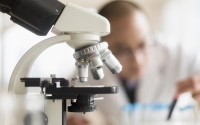 aGFzaD1kYmQ3MDJjNDExODE4NjY5NzlhMjQ2MmNiYjFkNjY1MA.thumb_.jpg - JurnalUrban