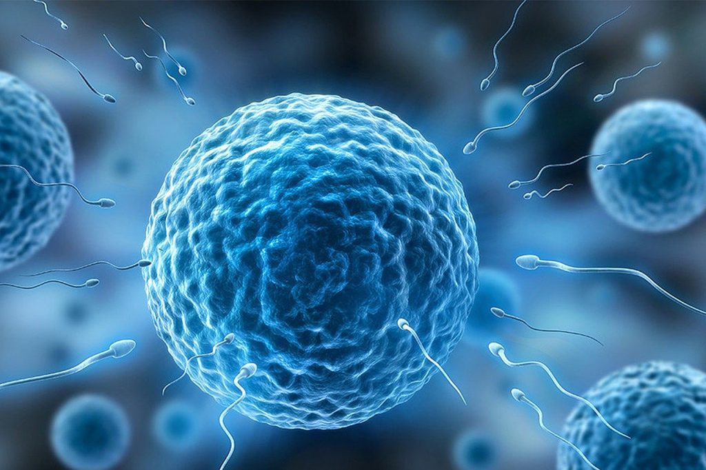 Obstacole majore în calea colonizării spațiului: infertilitatea în microgravitație Cercetătorii au descoperit o problemă majoră care ar putea pune piedici serioase planurilor de colonizare a spațiului: microgravitația pare să afecteze negativ capacitatea de reproducere a oamenilor