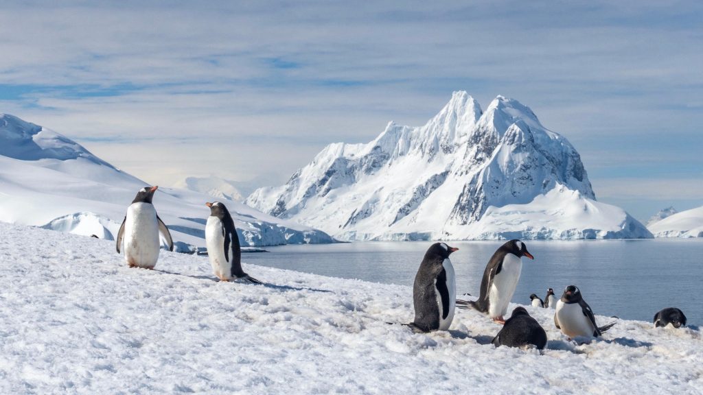 Antarctica, mai vulnerabilă la încălzire decât se credea