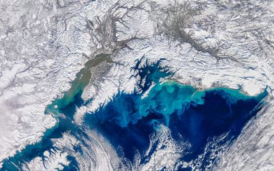 antarctica-ghetari-shutter_Descopera-3-scaled.jpg - JurnalUrban