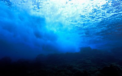 canion-al-atlanticului-shutter_descopera-scaled.jpg - JurnalUrban