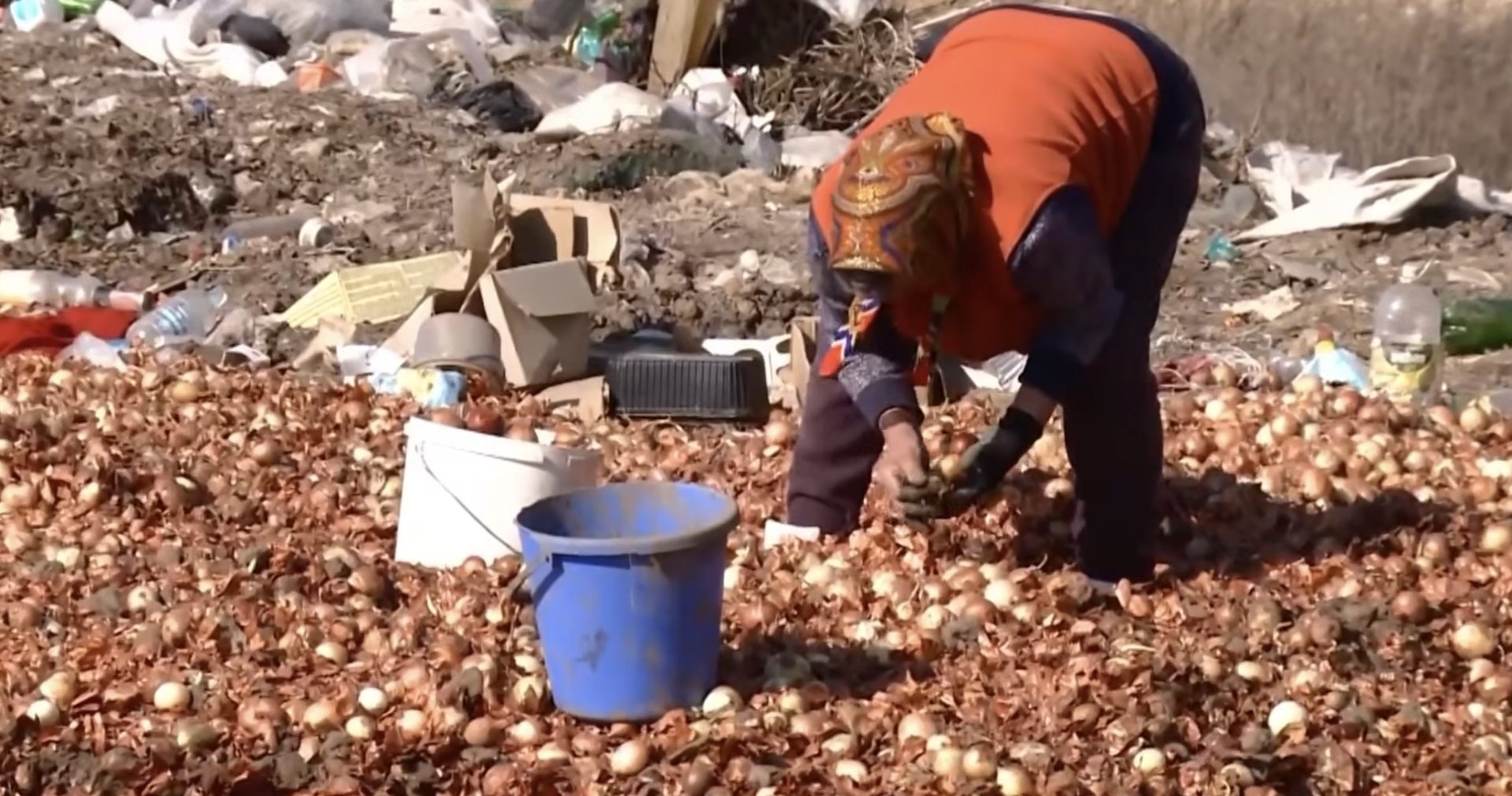 Tone de ceapă aruncate la gunoi, în timp ce localnicii culeg legume pentru a supraviețui O imagine cruntă vine din Republica Moldova, unde tone de ceapă și alte legume au fost aruncate la groapa de gunoi de lângă satul Gura Bâcului, raionul Anenii Noi