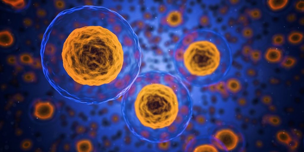 Bacterie modificată genetic, folosită ca armă împotriva cancerului: studiu cu rezultate promițătoare O echipă de cercetători chinezi a dezvoltat o metodă inovatoare de a lupta împotriva cancerului, folosind o bacterie modificată genetic