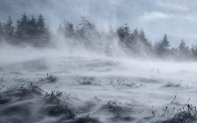 cod-galben-viscol-munte-iarna-ninsoare-e1643266955426.jpg - JurnalUrban