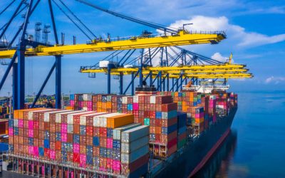 Omc: Creșterea comerțului mondial va încetini la 1,9% în 2026, războiul din iran riscă să agraveze