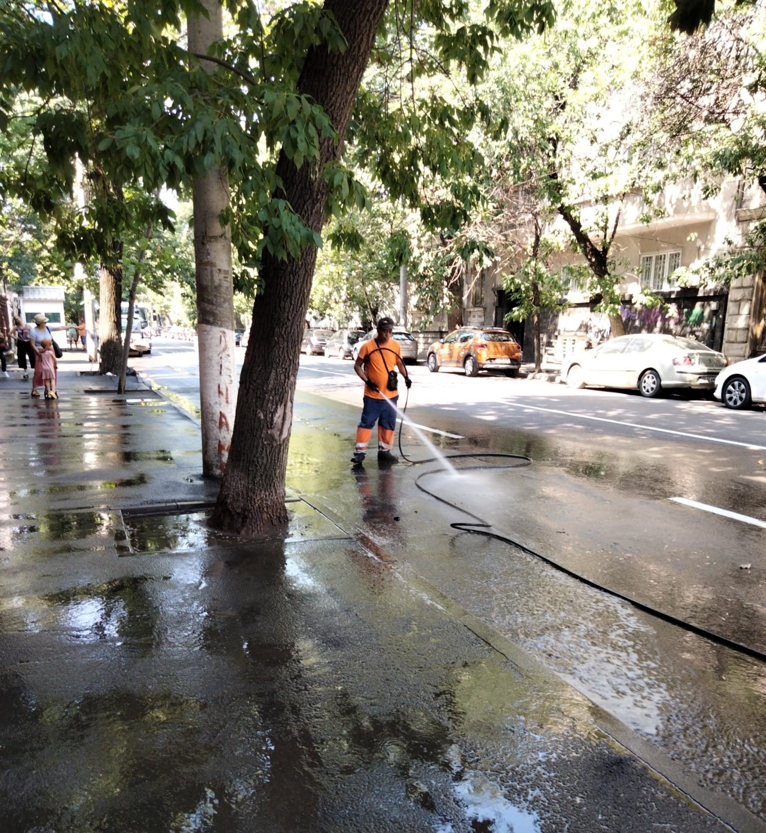 Sectorul 2 din București a demarat curățenia de primăvară și dezinsecția Primăria Sectorului 2 a început lucrările de curățenie generală de primăvară, concomitent cu demararea tratamentelor de dezinsecție