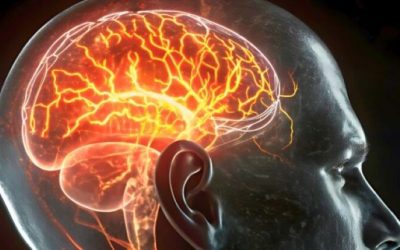 dementa-forma-creierului-1024x415.jpg - JurnalUrban