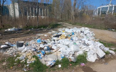 Ministra mediului: România nu va mai fi groapa de gunoi, reguli pentru import