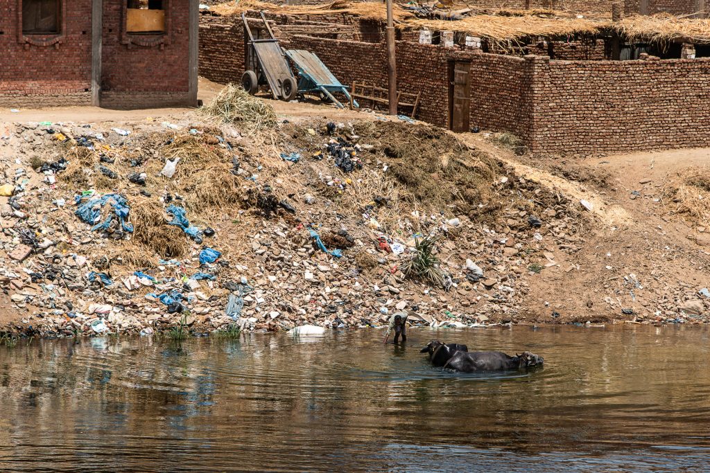 Barcagiu pe Nil: De la pescuit la strângerea plasticului În zorii zilei, pe când Cairo încă se trezește, Mohammed Ahmed Sayed Mohammed își pornește barca de pe insula al-Qarsaya, plonjând pe apele Nilului